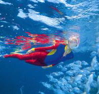 Great Detached Reef Dive Site - Accommodation Mt Buller