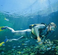 Tijou Reef - Accommodation Mt Buller