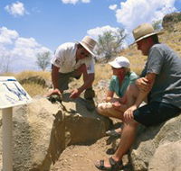 Riversleigh Fossil Fields - Accommodation Mt Buller