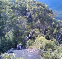 Mia Mia State Forest - Accommodation Mt Buller