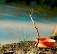 Charleville - Mangalore Warrego River Fishing Spot - Accommodation Mt Buller