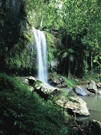 Tamborine QLD Accommodation Mt Buller