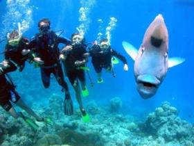 Gotham City Dive Site - Accommodation Mt Buller 0