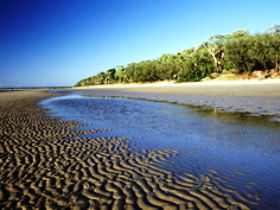 Burrum Coast National Park - Accommodation Mt Buller 0
