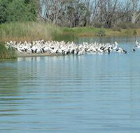 Lake Ross - Accommodation Mt Buller