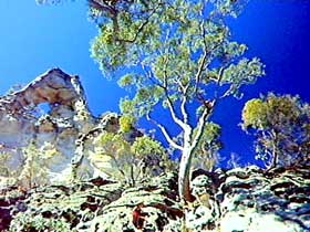 Mitchell QLD Accommodation Mt Buller