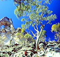Mount Moffatt Section - Carnarvon National Park - Accommodation Mt Buller