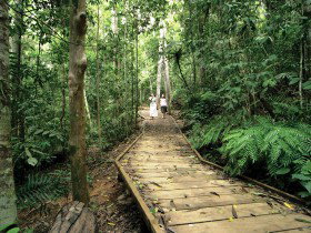 Tarzali QLD Accommodation Mt Buller