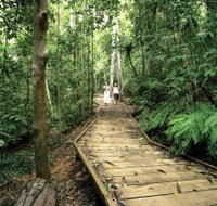 Lake Barrine Circuit Track Crater Lakes National Park - Accommodation Mt Buller