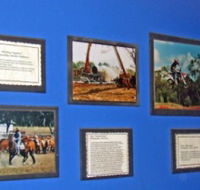Town Hall Photographic Display - Accommodation Mt Buller