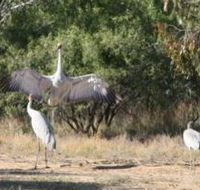 Bulloo River Walk - Accommodation Mt Buller