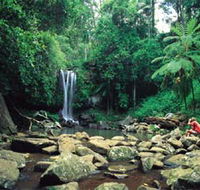 Tamborine National Park - Accommodation Mt Buller