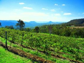 Preston Peak Wines - Accommodation Mt Buller 0