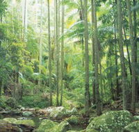 Python Rock - Accommodation Mt Buller