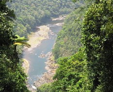 Book Innisfail QLD Attractions Accommodation Mt Buller Accommodation Mt Buller