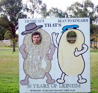 Kingaroy Lions Park - Accommodation Mt Buller