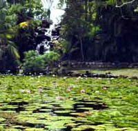 Queens Park Waterfall - Accommodation Mt Buller
