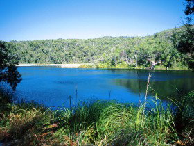 Karboora Track - Accommodation Mt Buller 0