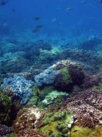 Bargara QLD Accommodation Mt Buller