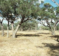 Forest Den National Park - Accommodation Mt Buller