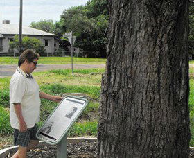 Augathella Kenniff Tree - Accommodation Mt Buller 0