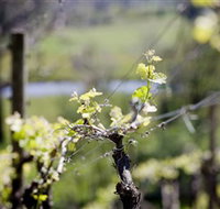 Dalfarras - Accommodation Mt Buller