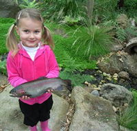 Wild Food Farm  Cafe - Accommodation Mt Buller