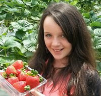 Yarra Valley Gateway Estate