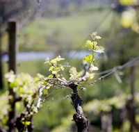 Downing Estate - Accommodation Mt Buller