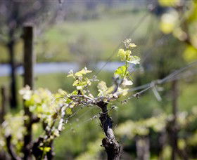 Downing Estate - Accommodation Mt Buller 0