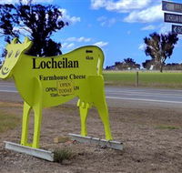 Locheilan Farmhouse Cheese - Accommodation Mt Buller