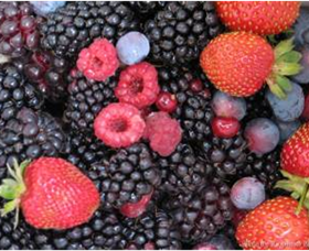 Pennyroyal VIC Accommodation Mt Buller