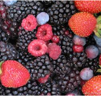 Gentle Annie Berry Gardens - Accommodation Mt Buller