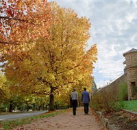 Indigo Gold Trail - Accommodation Mt Buller