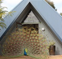 Halls Gap Zoo - Accommodation Mt Buller