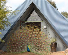 Halls Gap Zoo - Accommodation Mt Buller 0