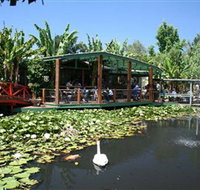 Blue Lotus Water Garden - Accommodation Mt Buller