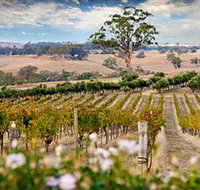 Redesdale Estate - Accommodation Mt Buller