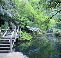 Alfred Nicholas Gardens - Accommodation Mt Buller