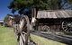 Old Gippstown - thumb 0