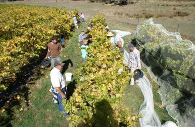 Accommodation Mt Buller