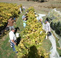 Blakes Estate Winery - Accommodation Mt Buller