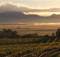 Montara Wines - Accommodation Mt Buller