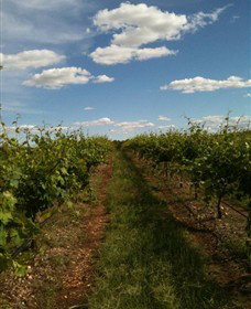 Chambers Rosewood Winery - Accommodation Mt Buller 0