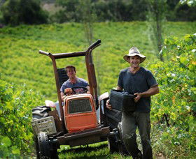 Kellybrook Winery & Kelly Brothers Cider - Accommodation Mt Buller 0