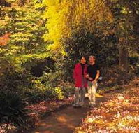 George Tindale Memorial Gardens - Accommodation Mt Buller