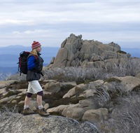 Mount Buffalo National Park - Accommodation Mt Buller