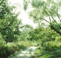 Holey Plains State Park