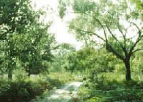 Holey Plains State Park - Accommodation Mt Buller 0