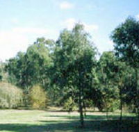 Sweeneys Flat - Accommodation Mt Buller